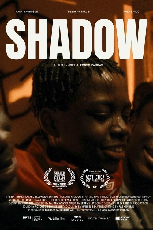 Shadow movie poster