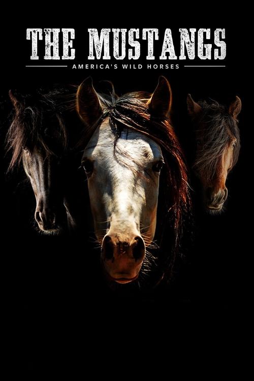 Poster do filme The Mustangs: America's Wild Horses