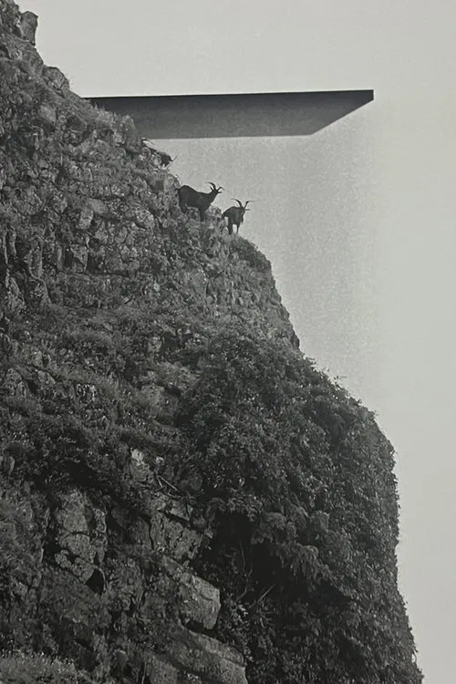 Orchid Island movie poster