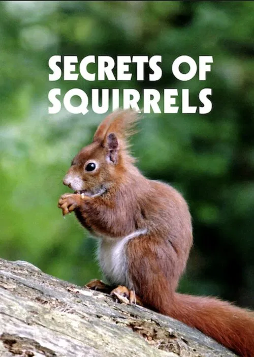 Poster do filme Secrets of Squirrels