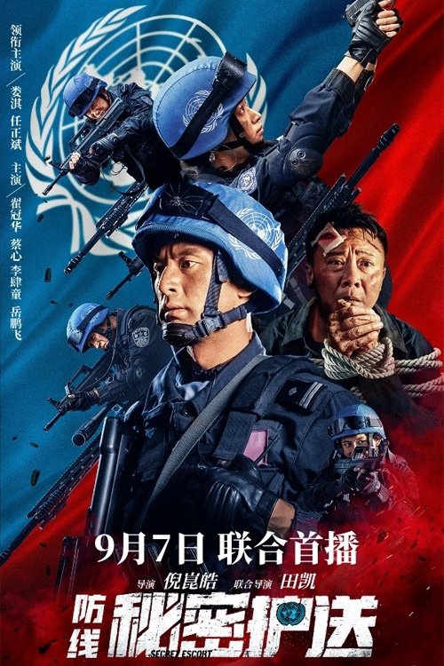 Defense: Secret Escort movie poster