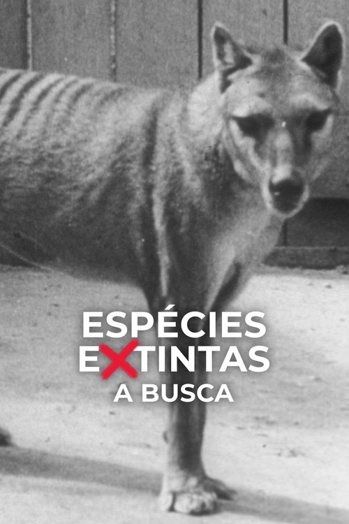 Poster do filme Espécies Extintas: A Busca