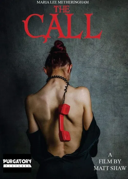 Poster do filme The Call