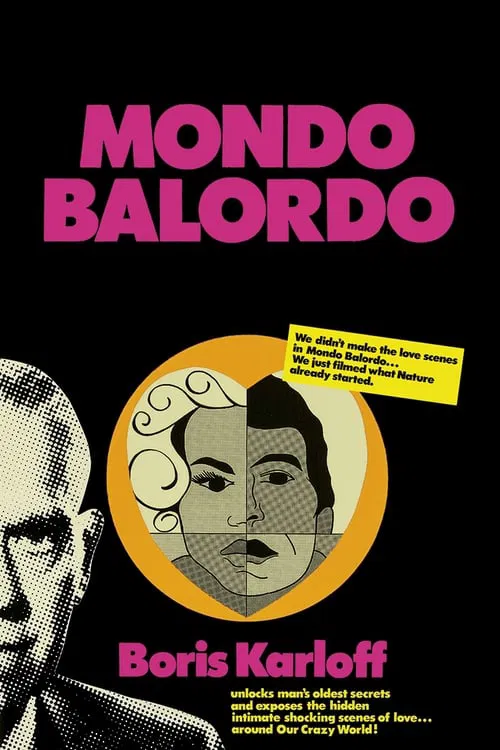 Poster do filme A Fool's World