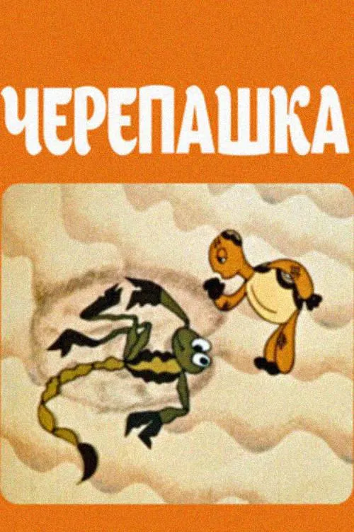 Poster do filme Turtle