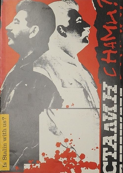 Is Stalin With Us? movie poster