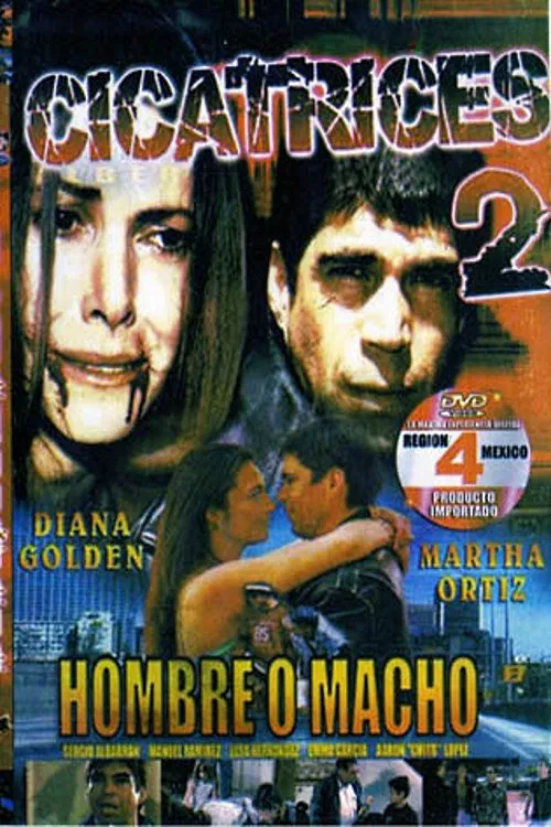 Scars 2 movie poster