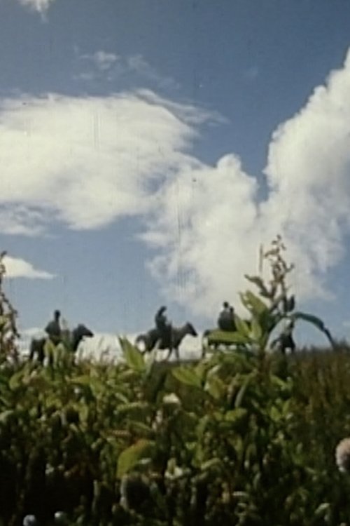 Tibetan Opera Troupe in the Khams movie poster