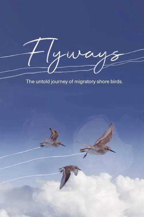 Flyways movie poster