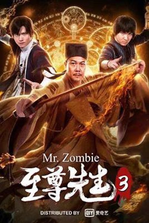 Mr. Zombie 3 movie poster