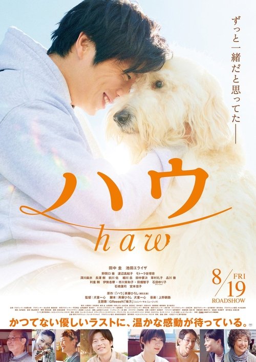 Haw movie poster