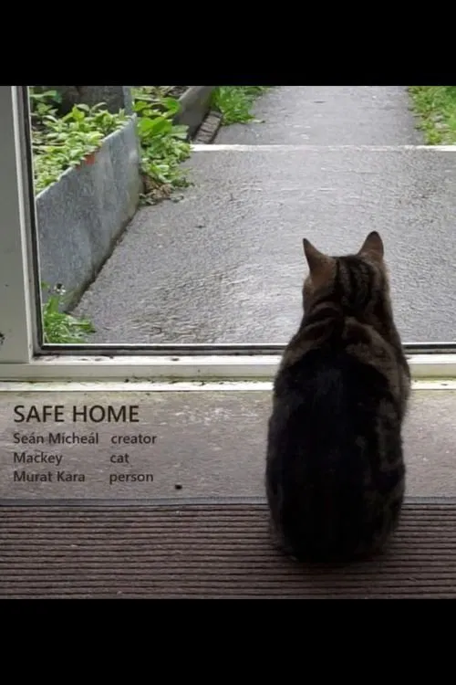 Safe Home movie poster