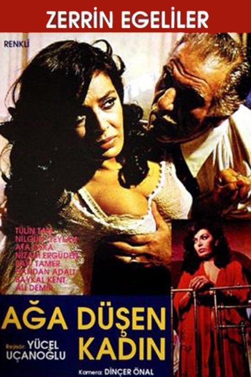 Ağa Düşen Kadın movie poster