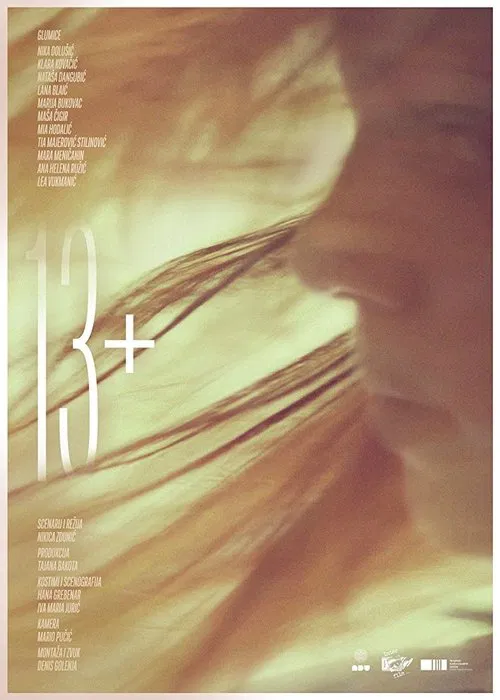 Poster do filme 13+