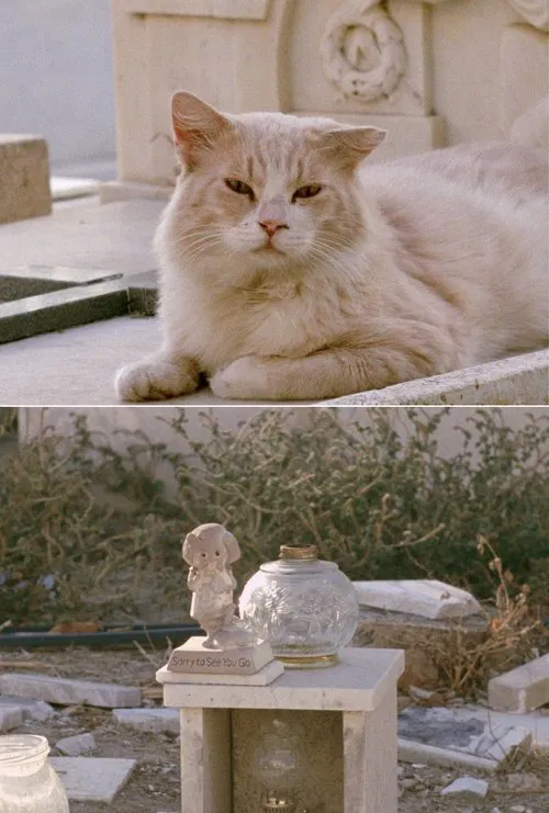 Sorry to See You Go movie poster