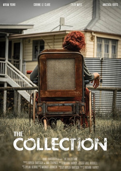 The Collection movie poster