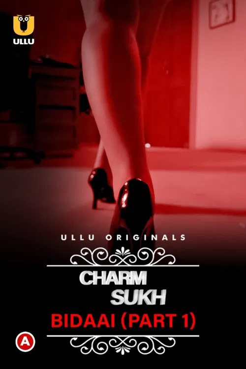 Charmsukh- Bidaai (Part-1) tv show poster