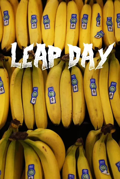 Poster do filme Leap Day