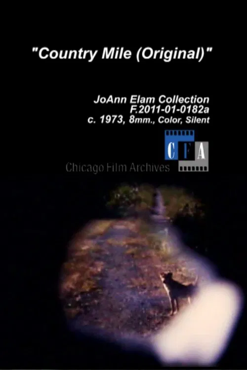 Country Mile movie poster