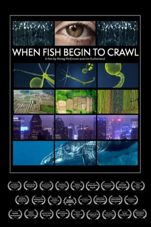 When Fish Begin to Crawl movie poster