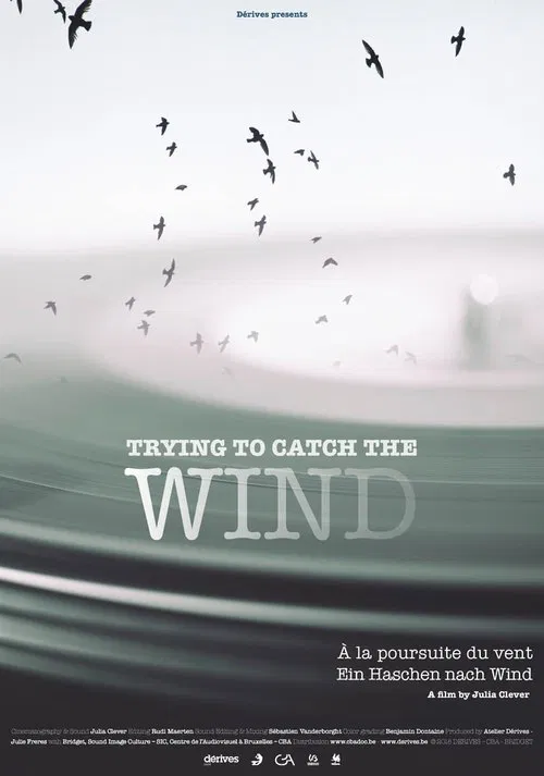 Trying to Catch the Wind movie poster
