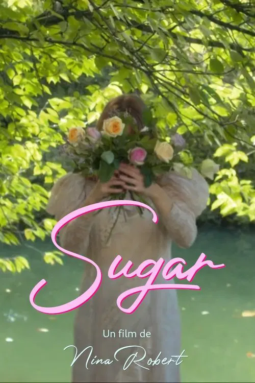 La France en Vrai - Sugar movie poster