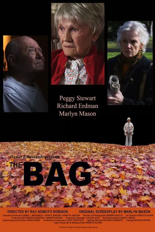 The Bag movie poster