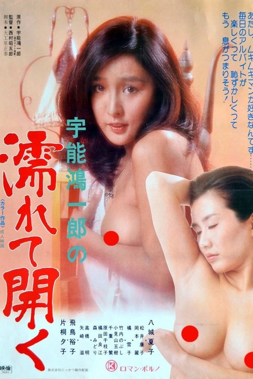 Koichiro Uno's Wet and Open movie poster