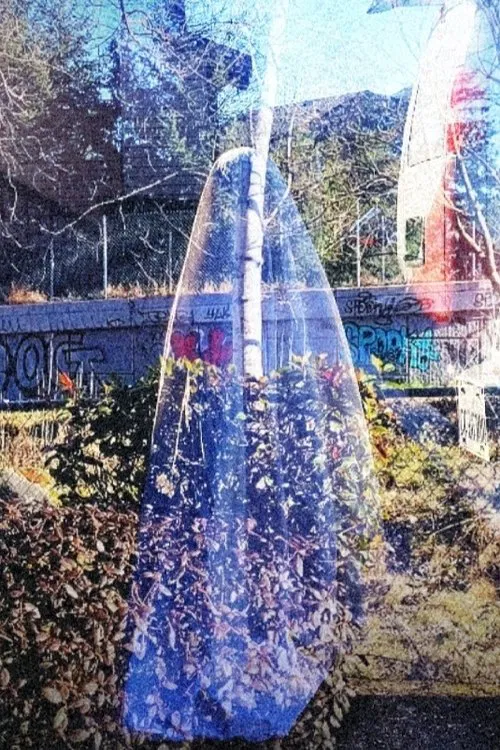 Poster do filme talknurisis