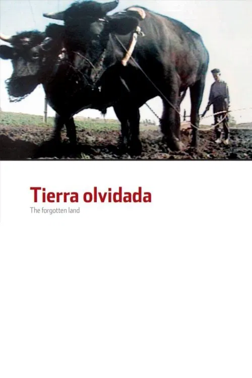 The Forgotten Land movie poster