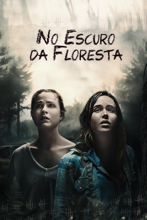 Poster do filme No Escuro da Floresta