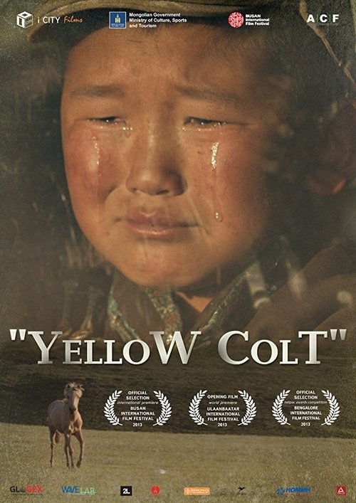Yellow Colt movie poster