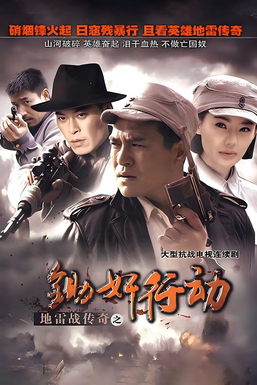 地雷战传奇之锄奸行动 tv show poster