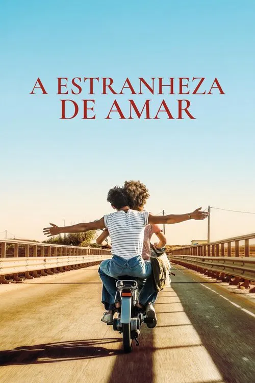 Poster do filme A Estranheza de Amar
