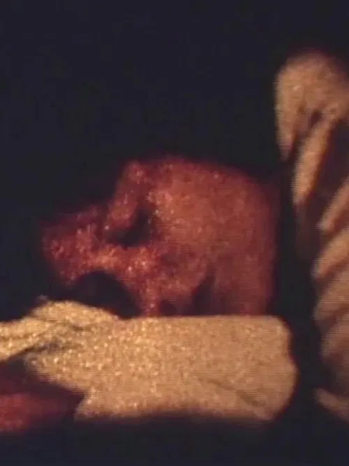 Poster do filme Homebelly