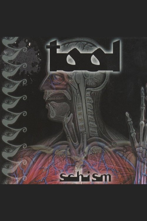 TOOL - Schism movie poster