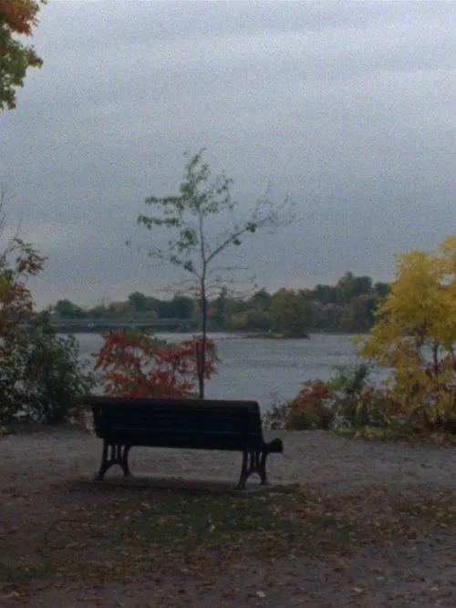 Je ne veux pas être devant la caméra movie poster