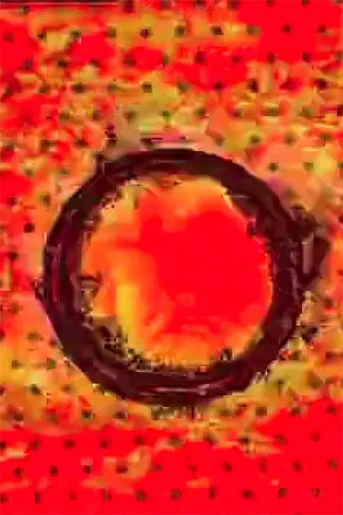 Sunset Strip movie poster