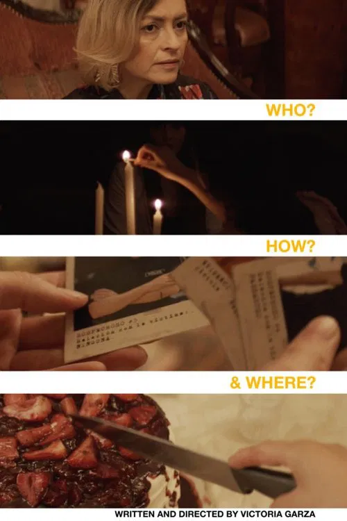 Poster do filme Who? How? And Where?
