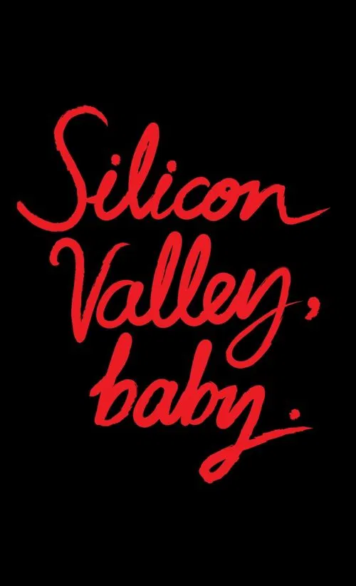 Silicon Valley, Baby. movie poster