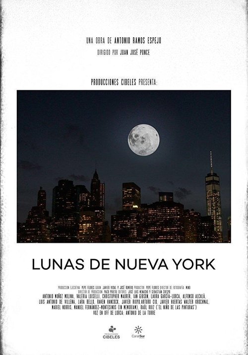 Poster do filme Lunas de Nueva York