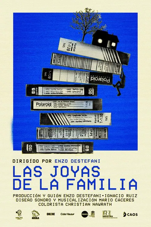 Poster do filme The family jewels