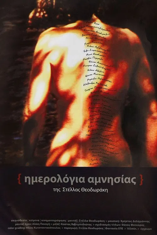 Poster do filme Amnesia Diaries