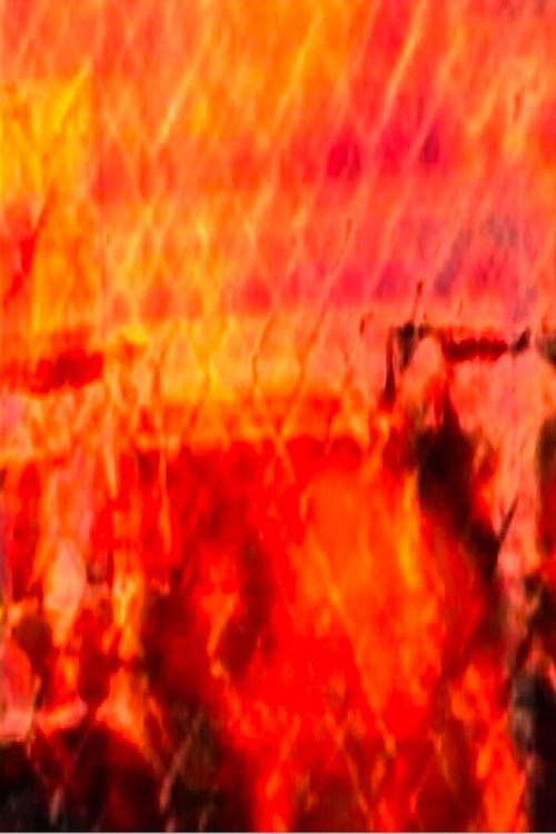 Poster do filme Lika (Licre)