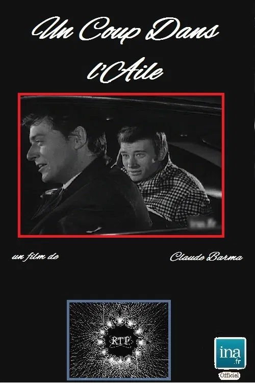 Un coup dans l'aile movie poster