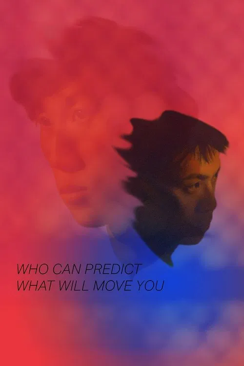 Who Can Predict What Will Move You movie poster