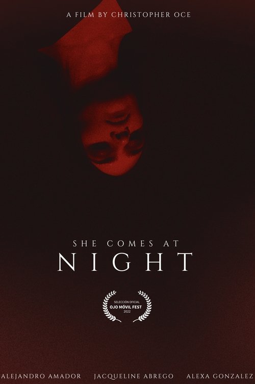 SHE COMES AT NIGHT movie poster