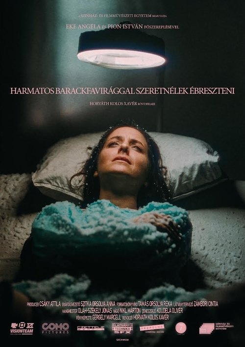 waking you with dewy peach blossoms movie poster