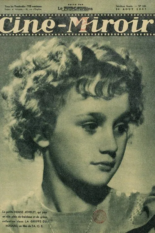 Foto de perfil de Denise Jovelet