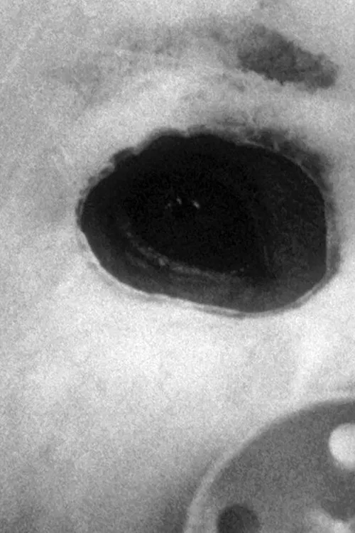 The Masked Monkeys movie poster